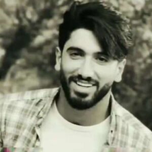 دانلود آهنگ جواد عباسی پرستوی سفید من کجایی