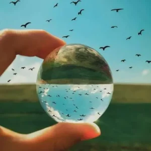 دانلود آهنگ کاش کبوتر میبودم پا به پات پر میزدم