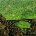 دانلود آهنگ امروز چند روزه بوی گل نیومد لیلی