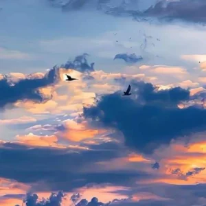 دانلود آهنگ اینوری به اونوری بگه ای جان