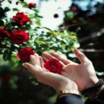 دانلود آهنگ نمیدونی تو که عاشق نبودی دانلود آهنگ نمیدونی تو که عاشق نبودی