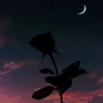 دانلود آهنگ چه بی رحمی تو ای دنیای فانی هوش مصنوعی