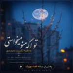 دانلود آهنگ تو اگه منو میخواستی به بقیه تکست نمیدادی