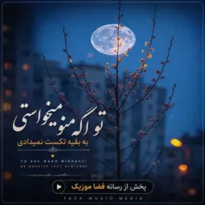 دانلود آهنگ تو اگه منو میخواستی به بقیه تکست نمیدادی